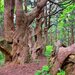 リフレッシュ＆運気アップ！山形県のおすすめパワースポット