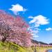 心も体も癒される♡桜も一緒に楽しめる全国の温泉地7選