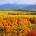雄大な大自然で秋を満喫しよう♪北海道の紅葉スポット7選
