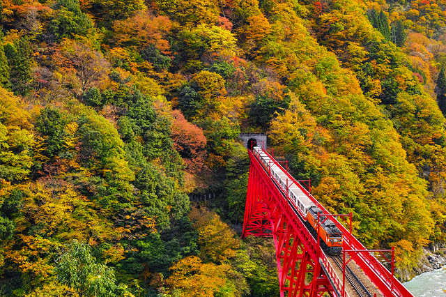 秋の連休どこで何する 温泉 グルメ 紅葉などおすすめ観光スポット まとめ Tripa トリパ 旅のプロがお届けする旅行に役立つ情報
