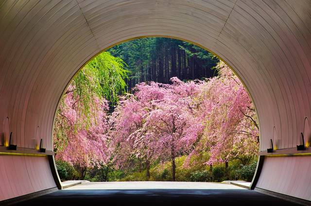 深い森に囲まれた山中の美術館 Miho Museumの魅力とは Tripa トリパ 旅のプロがお届けする旅行に役立つ情報 深い森に囲まれた山中の美術館 Miho Museumの魅力とは Tripa トリパ 旅のプロがお届けする旅行に役立つ情報