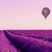 心と体を癒す効果たっぷり♡海外にあるおすすめの紫の絶景10選