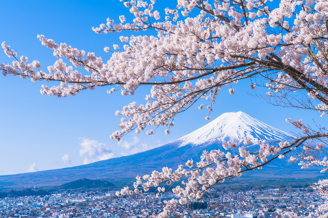 今年の桜はどこへ見に行く？日本全国のおすすめお花見スポット【まとめ 