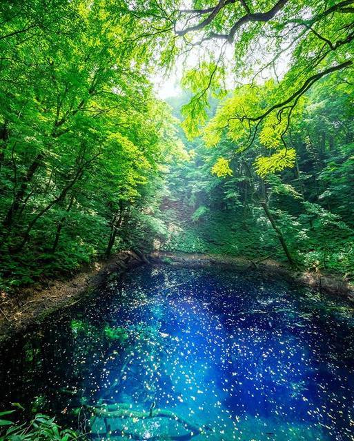 【かなり貴重‼️】はとバス旅行全国観光地図　東海・近畿　‼️ かなり貴重‼️】はとバス旅行全国観光地図 東海・近畿