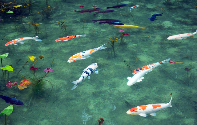 思わず写真を撮りたくなる絶景も！日本全国のフォトジェニックスポット