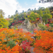 紅葉で彩られる！秋に訪れたい石川県加賀の國おすすめ紅葉スポット7選