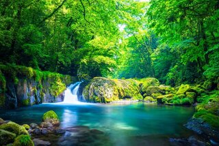 清涼スポットでリフレッシュ!夏に行きたい渓谷・渓流おすすめ15選