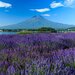 梅雨でも絶景が見たい！6月に行きたいおすすめの絶景スポット10選