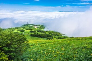 暑い夏は混雑も避けて涼しく過ごそう!避暑地のおすすめ穴場スポット10選