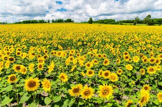 夏の景色で夏休みを満喫!8月のおすすめ絶景スポット10選