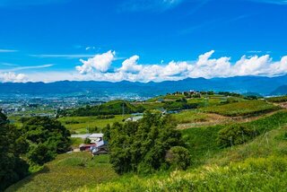ワインの試飲や工場見学を楽しもう!日本全国のおすすめワイナリー12選