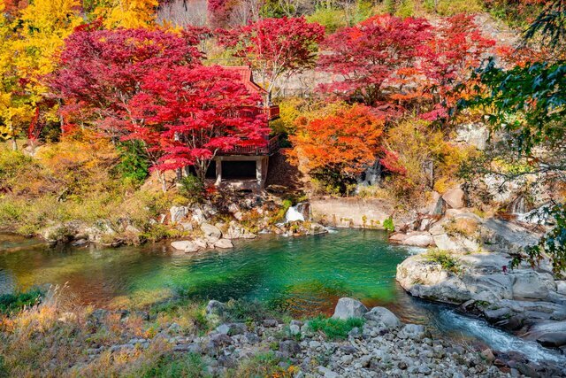 人気の絶景スポットから秘境まで 東海エリアのおすすめ紅葉スポット7選 Tripa トリパ 旅のプロがお届けする旅行に役立つ情報
