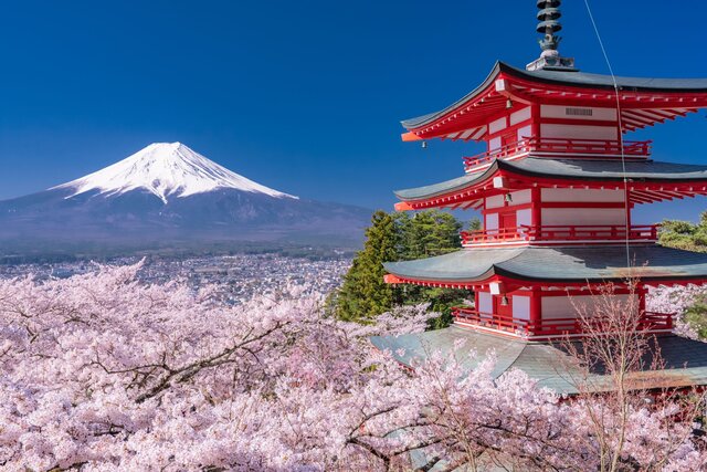 新潟・長野・山梨で桜を見るならここ！おすすめお花見スポット7選