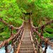 スリルと絶景を同時に楽しむ空中散歩！日本全国にある吊り橋10選
