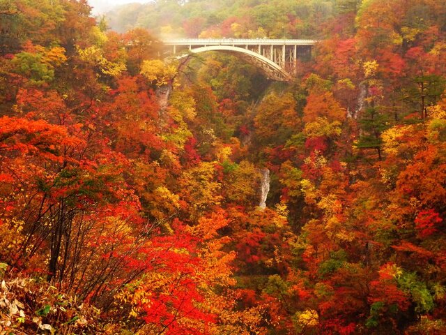 迫力満点の絶景を満喫！秋に行きたい紅葉がきれいな渓谷10選