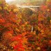 迫力満点の絶景を満喫！秋に行きたい紅葉がきれいな渓谷10選