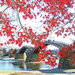 11月中旬～12月上旬におすすめ！山口県の紅葉が美しい観光スポット