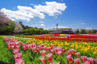 「今年の春は満喫する！」と決めたら春にやりたい10のリスト