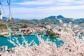 東海道・山陽新幹線で行く春におすすめの旅先7選