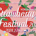 【イベント情報：神奈川県】Yokohama Strawberry Festival 2024＠横浜赤レンガ倉庫（2/1～2/25）