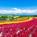 8月におすすめの国内旅行先をピックアップ！家族旅行やカップル旅行にも