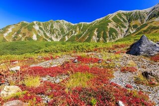 10月におすすめの国内旅行先をピックアップ！秋の絶景とグルメを満喫