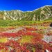 10月におすすめの国内旅行先をピックアップ！秋の絶景とグルメを満喫