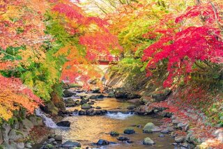 自然美あふれる日本の秋を満喫！秋色に染まるおすすめ絶景リゾート