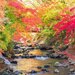 自然美あふれる日本の秋を満喫！秋色に染まるおすすめ絶景リゾート