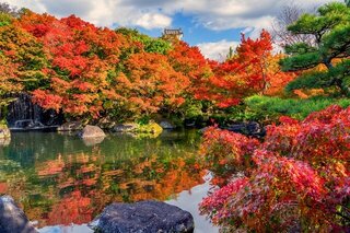 11月におすすめの国内旅行先をピックアップ！紅葉シーズン到来
