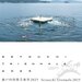 【イベント情報：香川県】瀬戸内国際芸術祭2025　秋（10/3～11/9）