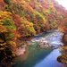 【イベント情報：秋田県】抱返り紅葉祭（10/10～11/10）