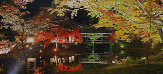 【イベント情報：京都府】高台寺 秋の特別拝観（10/24～12/14）