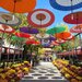 【イベント情報：茨城県】第118回　笠間の菊まつり（10/25～11/24）