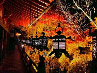 【イベント情報：奈良県】談山神社紅葉ライトアップ（11/14～12/7）