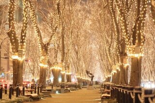 【イベント情報：宮城県】2025 SENDAI光のページェント（12/5～12/28）