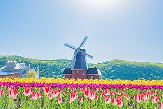 少し遅い春を楽しむ!春の北海道で訪れたい10の観光スポット