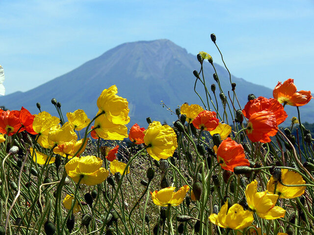 鳥取県大山で雄大な自然の絶景を堪能！お取り寄せもできるご当地グルメもご紹介！