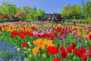 花絶景や新緑も！ゴールデンウィークに行きたい日本の感動絶景20選