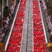 【イベント情報：茨城県】百段階段でひなまつり（3/1）