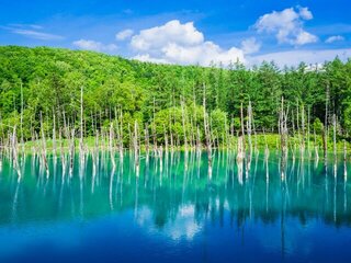 梅雨知らずの絶景ばかり！初夏の北海道で訪れたい10の観光スポット
