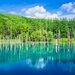 梅雨知らずの絶景ばかり！初夏の北海道で訪れたい10の観光スポット