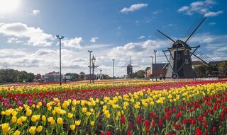 【イベント情報：長崎県】ハウステンボス　チューリップセレブレーション（2/6～4/6）