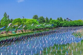 5月におすすめの国内旅行先をピックアップ！色とりどりの花や残雪の絶景も