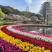 【イベント情報：静岡県】浜名湖花フェスタ2026（3/20～6/7）