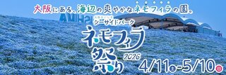 【イベント情報：大阪府】大阪まいしまシーサイドパークネモフィラ祭り2026（4/11～5/10）