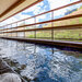 層雲峡の大自然と温泉に癒される「ホテル大雪 ONSEN&CANYON RESORT」
