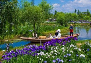 【イベント情報：千葉県】水郷佐原あやめ祭り（5/23～6/21）