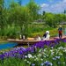 【イベント情報：千葉県】水郷佐原あやめ祭り（5/23～6/21）