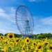 夏の香りに包まれる花散歩！関東で出会える花絶景10選